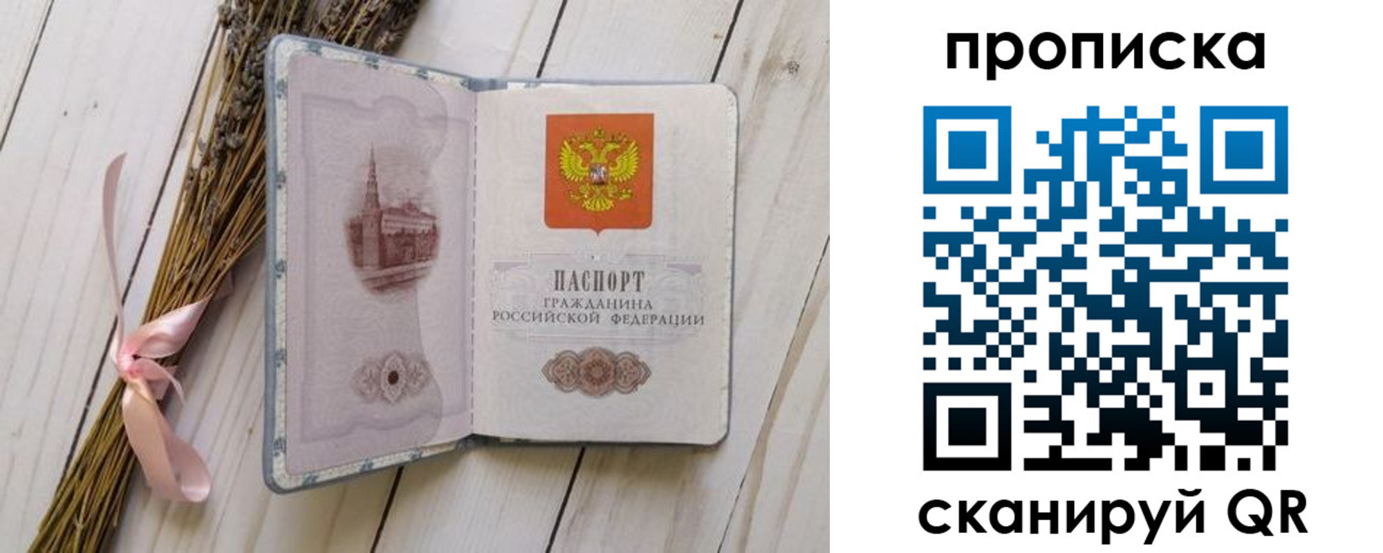 прописка для работы в Советской Гавани
